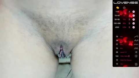 littlecandy18 @ stripchat on 20250704