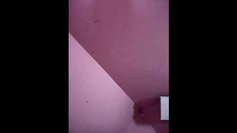 quietnicole @ stripchat on 20250704