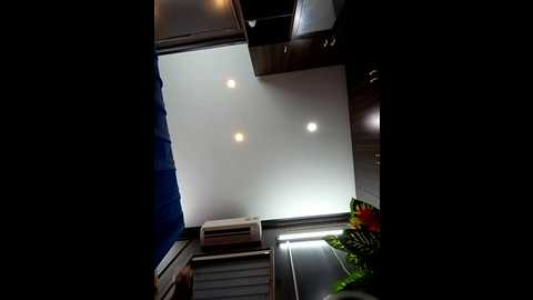 zizi_public @ stripchat on 20250704
