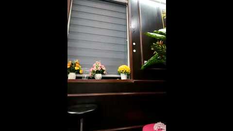 zizi_public @ stripchat on 20250704
