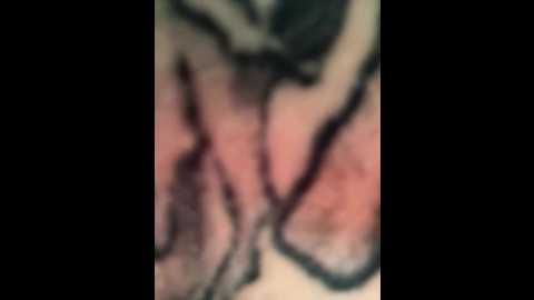 arya_black @ stripchat on 20250705