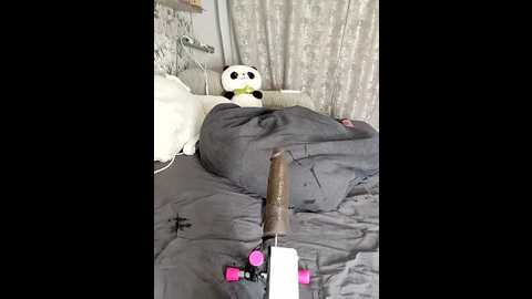 Media: lola_hale Stripchat 2025-07-05 18:56:00