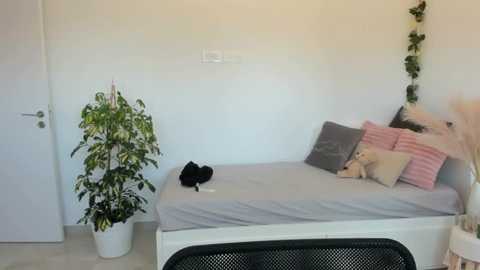 smileybabe @ stripchat on 20250705