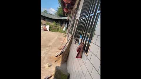 Media: sisi_6 Stripchat 2025-07-06 09:03:00