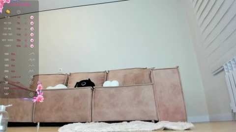 lee_yoo @ stripchat on 20250707