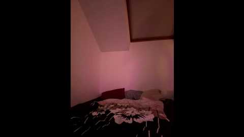 dugurke @ stripchat on 20250708