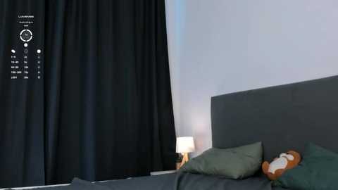joanfrickey @ stripchat on 20250708