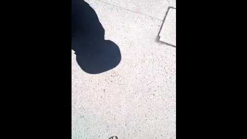 Media: darkdea Stripchat 2025-07-09 13:29:00