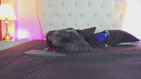 ethan_and_ava @ stripchat on 20250709