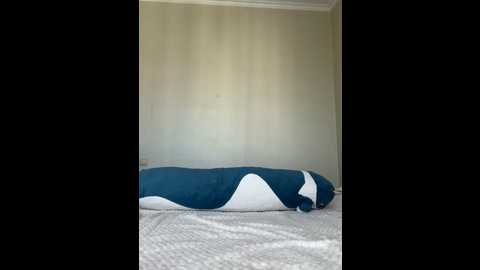 nickilike @ stripchat on 20250709
