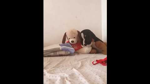 ruby_quin @ stripchat on 20250709