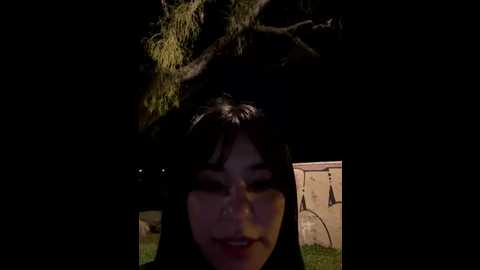 thelevel69s @ stripchat on 20250710