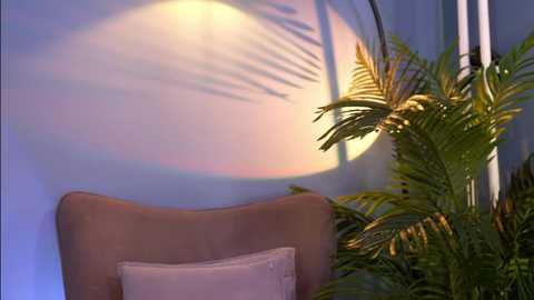 _keeti_ @ stripchat on 20250712
