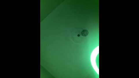 ghazala_bitsh @ stripchat on 20250712