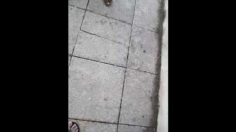 Media: darkdea Stripchat 2025-07-13 15:49:00