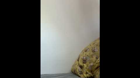 leearose @ stripchat on 20250713