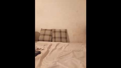 ruby_quin @ stripchat on 20250713