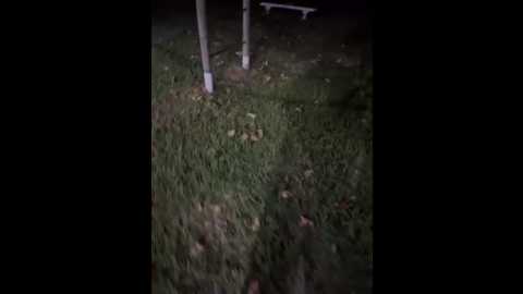 Media: thelevel69s Stripchat 2025-07-13 04:01:00
