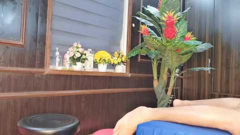 zizi_public @ stripchat on 20250713