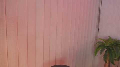 daliacruz @ stripchat on 20250714