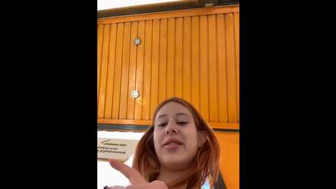 foxy_heart @ stripchat on 20250714