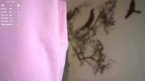 piquingogalala @ stripchat on 20250714