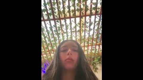 dulce_1408 @ stripchat on 20250715