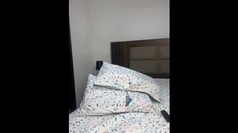 Media: im_manu Stripchat 2025-07-15 21:42:00