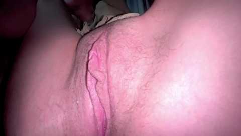 Media: katie_charm Stripchat 2025-07-15 00:54:00