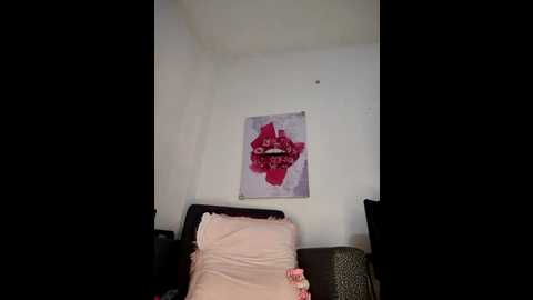 Media: hanaa_18 Stripchat 2025-07-16 07:56:00