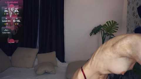 anniseells @ stripchat on 20250717