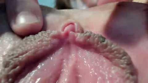 courtney_luv @ stripchat on 20250717