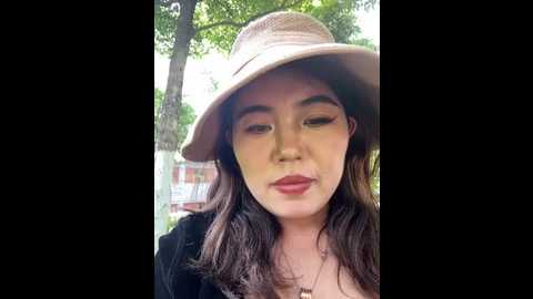 Media: feifei_521 Stripchat 2025-07-17 09:03:00