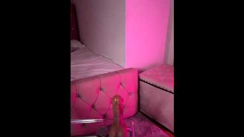 lexy669 @ stripchat on 20250718