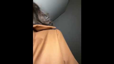 phantom_00 @ stripchat on 20250718