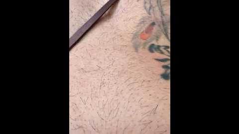 Media: darkdea Stripchat 2025-07-19 15:31:00