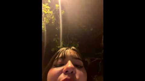 Media: thelevel69s Stripchat 2025-07-19 01:33:00