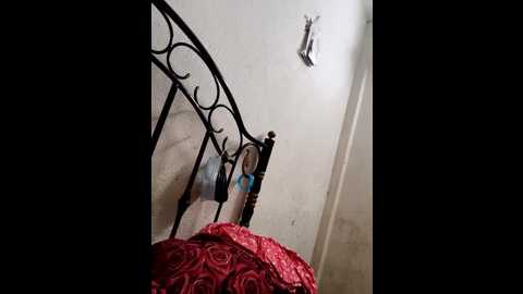 hotty_moni @ stripchat on 20250720