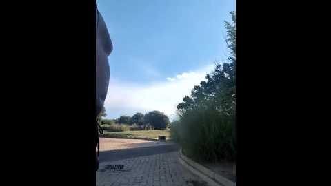 Media: darkdea Stripchat 2025-07-24 16:57:00