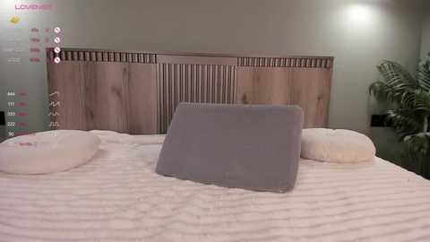 giftofnature1 @ stripchat on 20250724