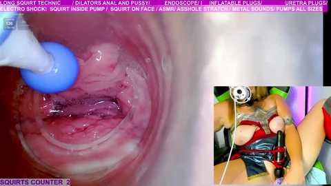 marybrook1 @ stripchat on 20250724