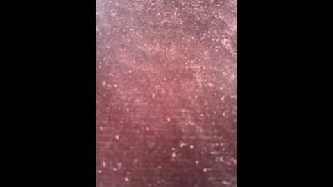 tangbao_521 @ stripchat on 20250724