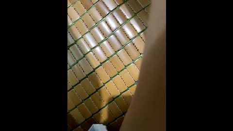 baoboi211 @ stripchat on 20250725