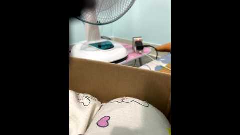 baoboi211 @ stripchat on 20250725