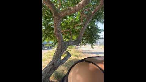 Media: kikiwatson Stripchat 2025-07-25 06:02:00