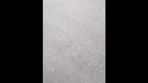 darkdea @ stripchat on 20250726