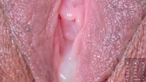 alu_ryu @ stripchat on 20250727