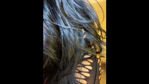 clarachanelricek @ stripchat on 20250727