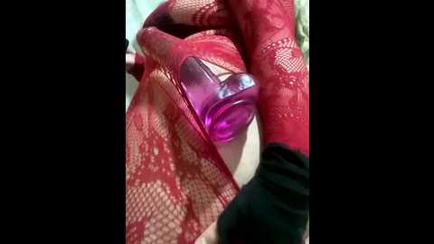 masters_queen_dog @ stripchat on 20250728