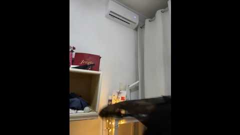 hot_farass @ stripchat on 20250729